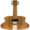 Cole Clark CCFL2E-12-BLBL 12-String Acoustic Electric w/Case - Blackwood