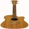 Cole Clark CCFL2EC-BLBL Acoustic Electric Guitar w/Case - Blackwood