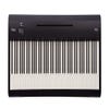 Roland FP-10 Portable Digital Piano - Black (FP10)