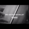 Kawai K800 AS 134cm Upright Piano - Ebony Polish (K-800AS)