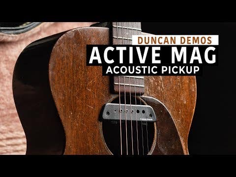 Seymour Duncan Active Mag Acoustic Guitar Soundhole Pickup