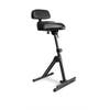 Gravity GFMSEAT1BR Height Adjustable Stool w/ Foot and Backrest