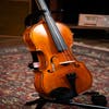 GLIGA 4/4 VASILE  SUPERIOR ITALY 1PC BACK PROFESSIONAL SETUP W/OPAL GOLD STRINGS (VIOLIN ONLY)