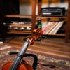 GLIGA 4/4 VASILE NO 5 VIOLIN PROFESSIONAL SETUP W/OPAL GOLD STRINGS (VIOLIN ONLY)