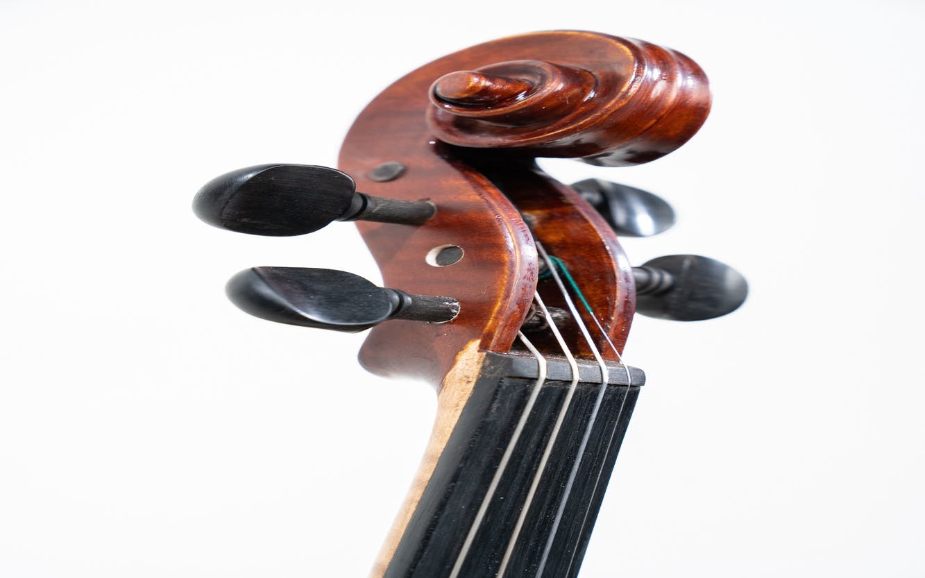 Gliga I Violin Outfit Dark Antique w/Violino 4/4
