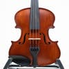 Gliga II Violin Outfit - Dark Antique w/Violino 4/4
