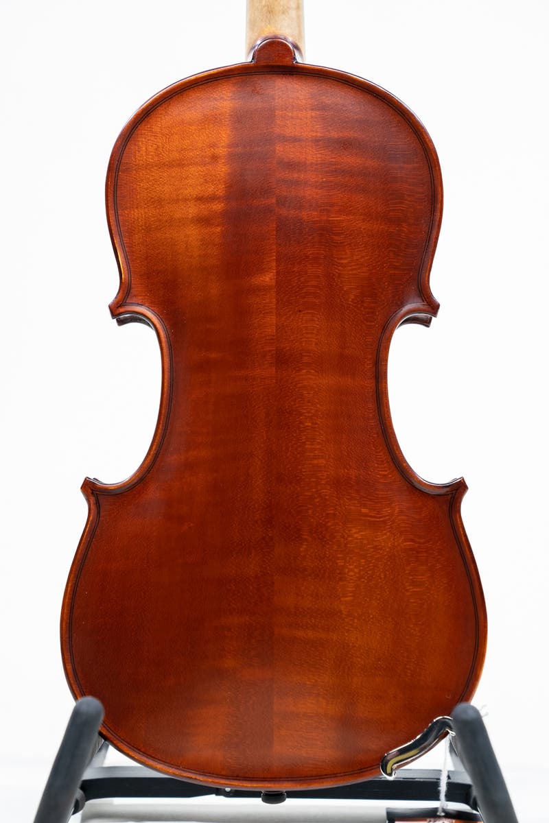 Gliga II Violin Outfit - Dark Antique w/Violino 4/4