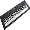 Roland GO:KEYS 5 61-Note Keyboard / Synth -  Graphite