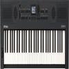 Roland GO:KEYS 5 61-Note Keyboard / Synth -  Graphite