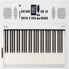 Roland GO:KEYS 5 61-Note Keyboard / Synth -  White
