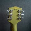 Gretsch USA G6118-R-CST Anniversary Relic Stephen Stern Masterbuilt - 2-Tone Smoke Green (#UC07030197) - Pre-Owned