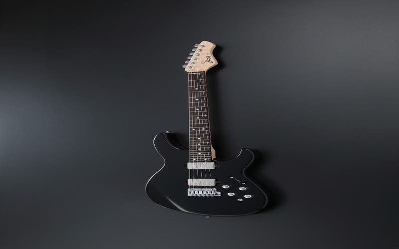 Boss Eurus GS-1 Custom Synth Guitar - Black