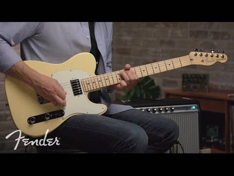 Fender American Performer Telecaster w/Deluxe Gigbag - Honey Burst RW