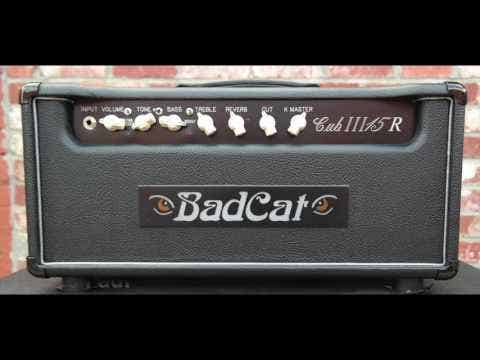 Bad Cat Cub IV 15R Handwired 1x12
