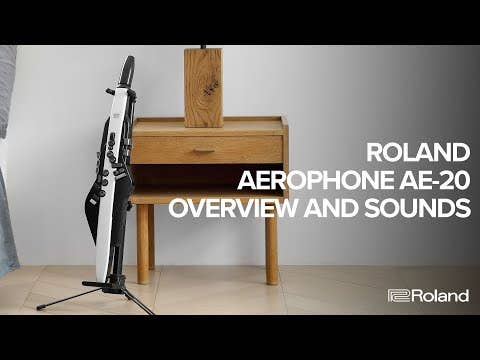 Roland AE-20 Aerophone Digital Wind Instrument - Black / White