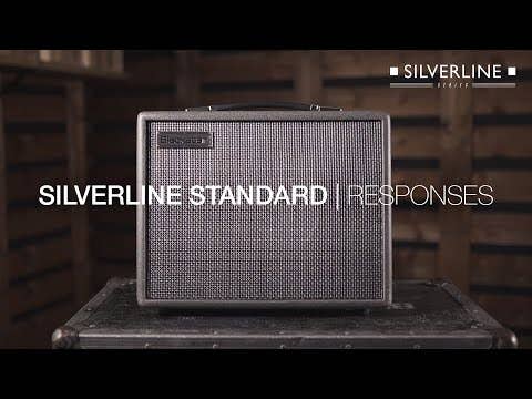 Blackstar Silverline Standard 20w Guitar Amp Combo
