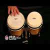 Latin Percussion LP CP Traditional Bongos (CP221-AW)