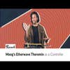 Moog Etherwave Theremin