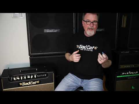 Bad Cat Cub IV 15R Handwired Series Amplifier Head