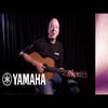 Yamaha CSF-TA Transacoustic Parlour Guitar - Vintage Natural