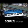 Modal Cobalt 8M Virtual-Analogue Synthesiser Module