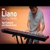 Korg LIANO Lightweight Digital Piano - Black