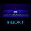 Yamaha MODX6+ 61 Semi-weighted key Synthesizer