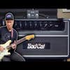 Bad Cat Player Series II Cub 1x12 Combo 30w