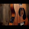 Maton EMBW-6 Mini Acoustic Electric Guitar w/Case - Blackwood