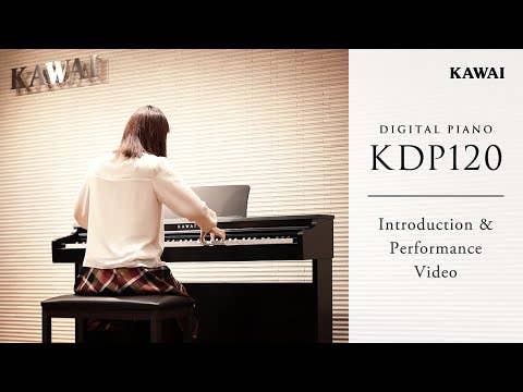 Kawai KDP120 Digital Piano w/Matching Bench - Rosewood