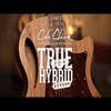 Cole Clark TL2EC-BLBL-HSS Acoustic / Electric Guitar w/HSS Pickup Configuration