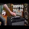 Ampeg SGT-DI Bass Preamp / DI