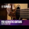 Yamaha FG9R Acoustic Guitar - Natural (Spruce / Rosewood)