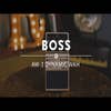 Boss AW-3 Dynamic Wah (AW3)