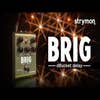 Strymon BRIG dBucket Delay Pedal