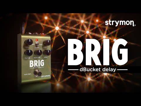 Strymon BRIG dBucket Delay Pedal