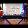 Expressive E Osmose 3D Polyphonic Synthesizer