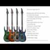Solar S1.6HLB Electric Guitar - Lime Burst Matte
