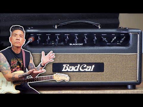 Bad Cat Player Series II Black Cat Head 20w
