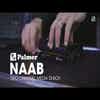 Palmer RIVER Naab - Passive 2-Channel Media DI-Box