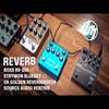 Strymon blueSky MKII Reverb Pedal