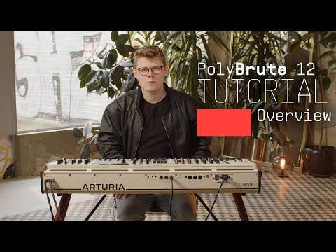 Arturia Polybrute-12 Polyphonic Analog Synth