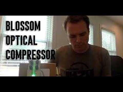 Jackson Audio BLOSSOM Compressor Pedal