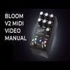 Jackson Audio BLOOM V2 SILVER Comp / EQ / Boost Pedal