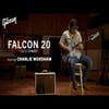 Gibson Falcon 20 1x12 Combo