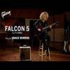 Gibson Falcon 5 1x10 Combo