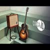 Taylor Circa 74 Acoustic Guitar / Vocal Amplifier