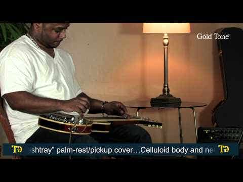 Gold Tone LS-8 8-String Lapsteel - Two Tone Tobacco (Special Order)