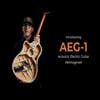 LR Baggs AEG-1 High-performance Acoustic Electric Guitar - Engelmann Spruce (Special Order)