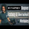 Synergy Bogner Ecstasy 2ch Tube Pre-Amp Module